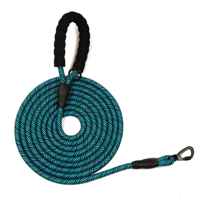 Nylon Dog Leash